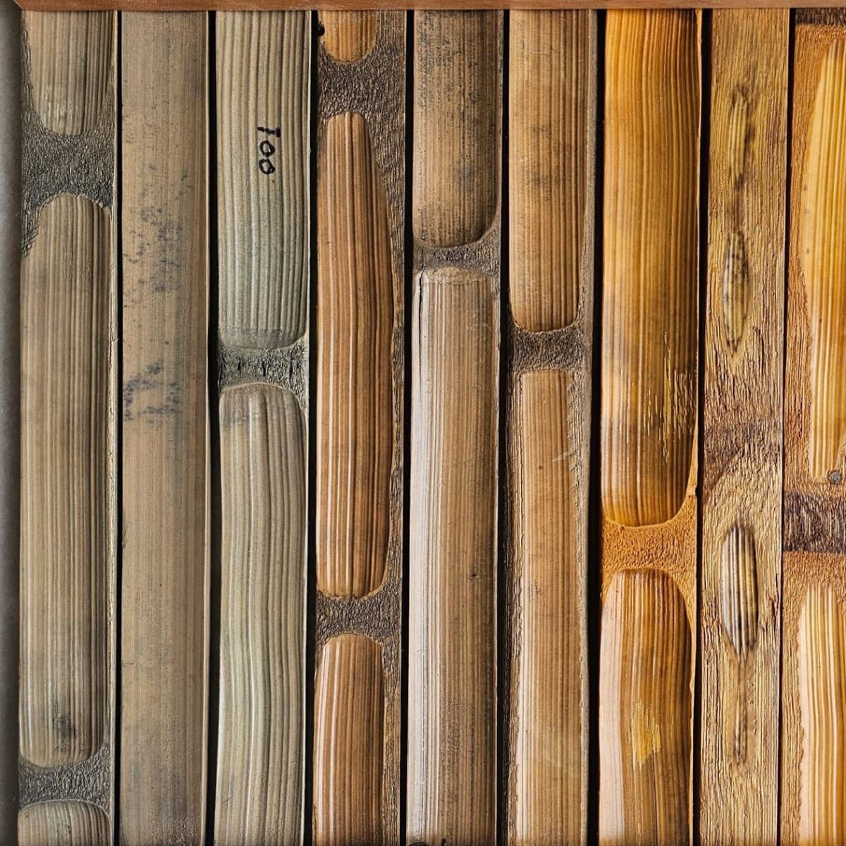 Superfícies texturizadas de bambu